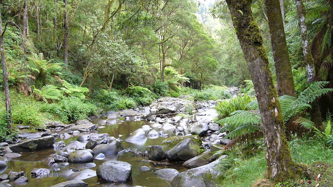 25-Spectacular views of the Gellibrand River at Stevensons Falls.JPG